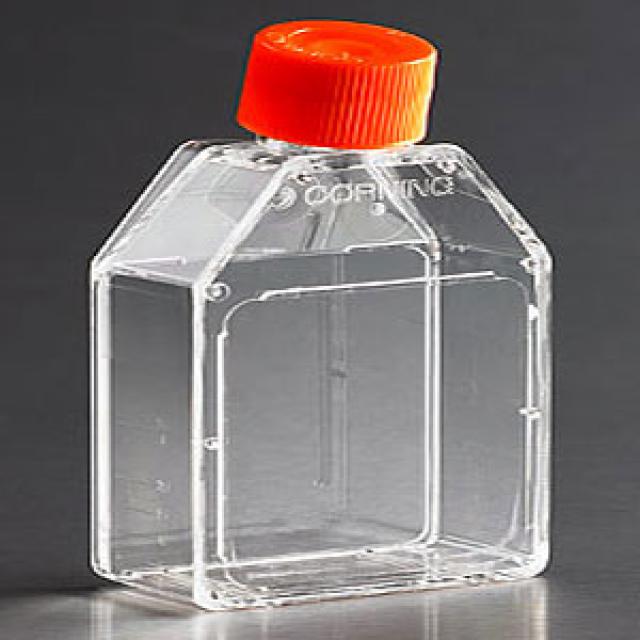 培养瓶 25cm² 直角斜颈（正方斜口） 透气盖 PS（聚苯乙烯）材质 灭菌