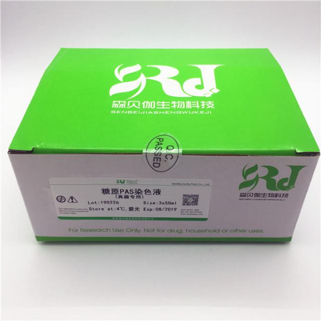 糖原PAS染色液(真菌专用)