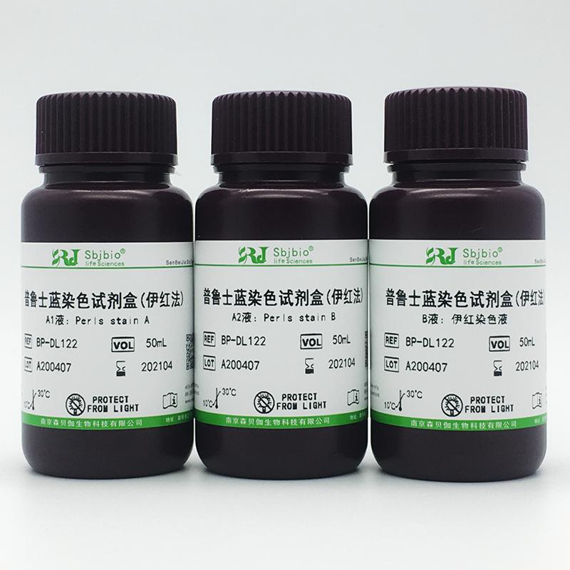 普鲁士蓝染色试剂盒(伊红法)