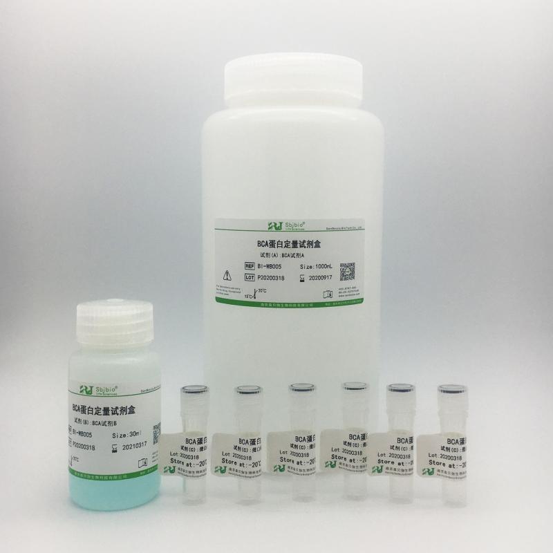 BCA蛋白定量试剂盒（增强型）