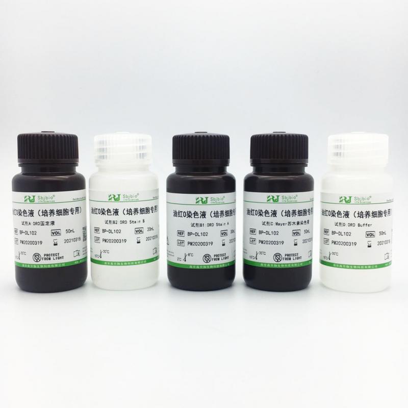 油红O染色试剂盒(培养细胞专用)