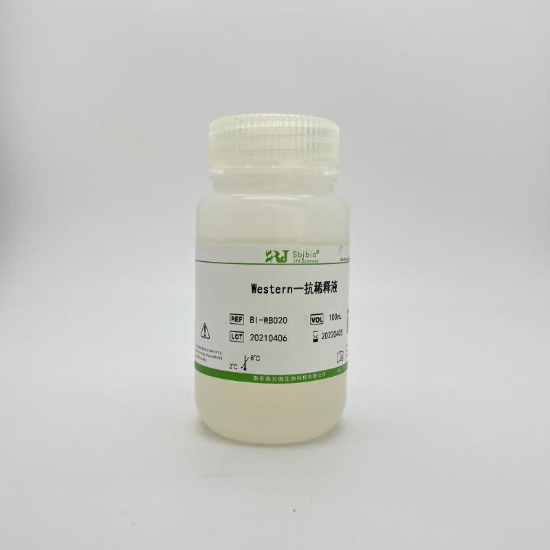 Western一抗稀释液
