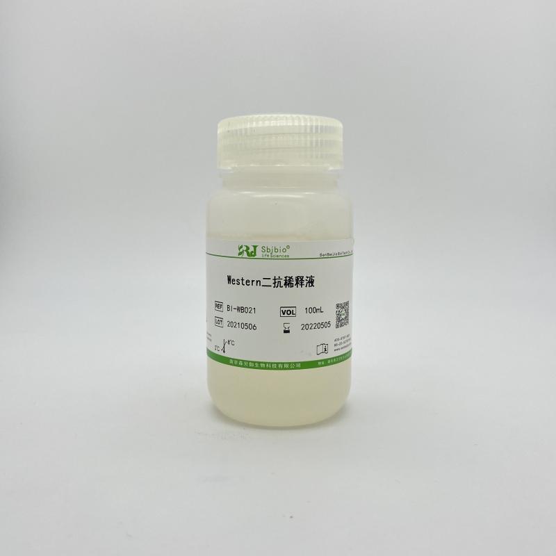 Western二抗稀释液