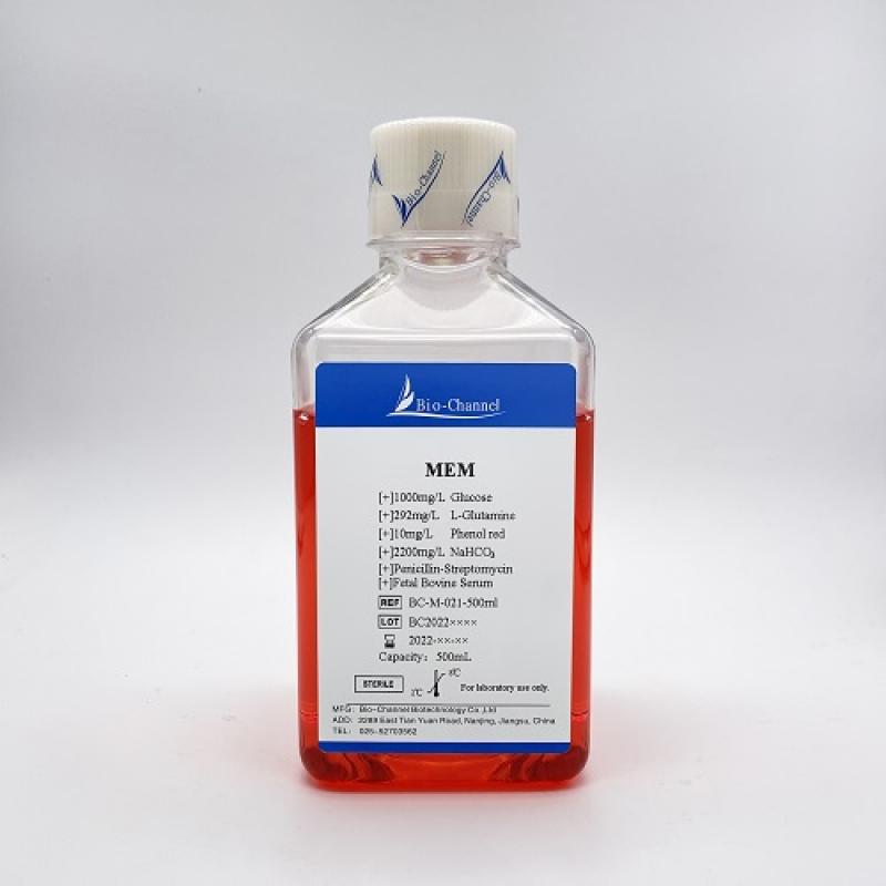 MEM培养基(含胎牛血清，双抗)