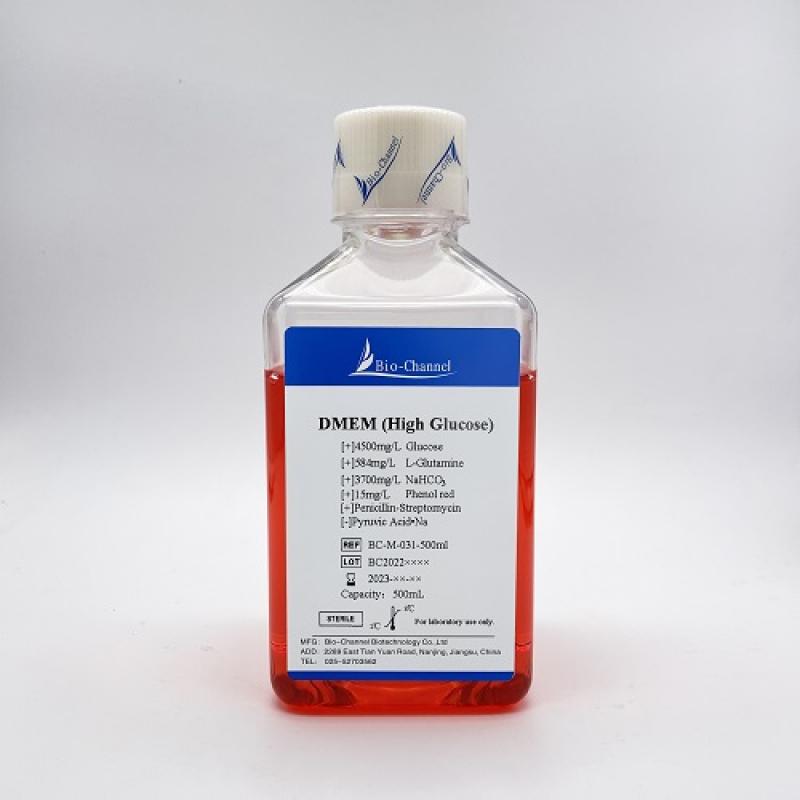 DMEM培养基(高糖,无丙酮酸钠，含酚红，含双抗）