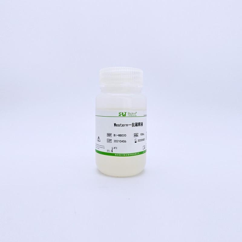 Western一抗稀释液