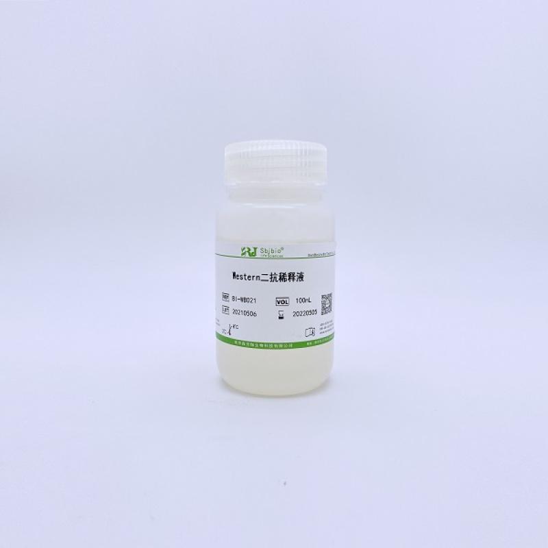 Western二抗稀释液