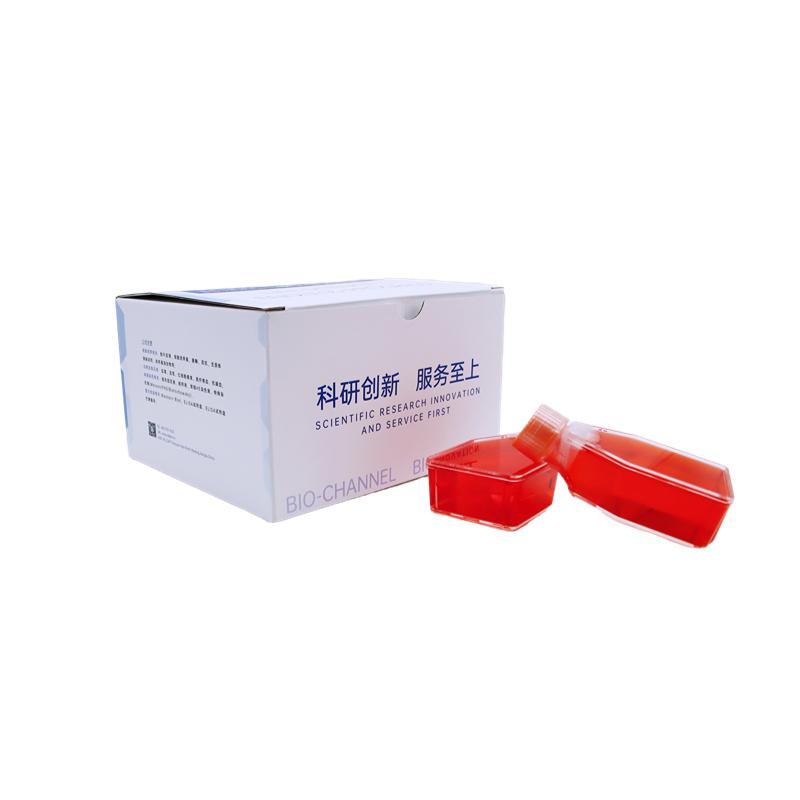 人骨肉瘤细胞 MNNG/HOS Cl #5 [R-1059-D]