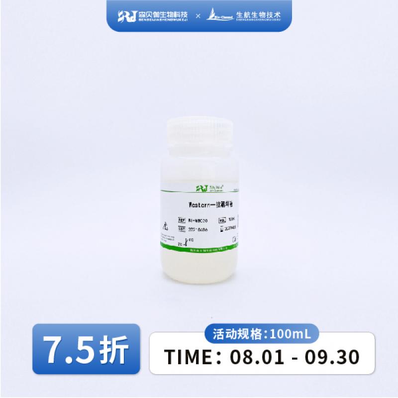Western一抗稀释液