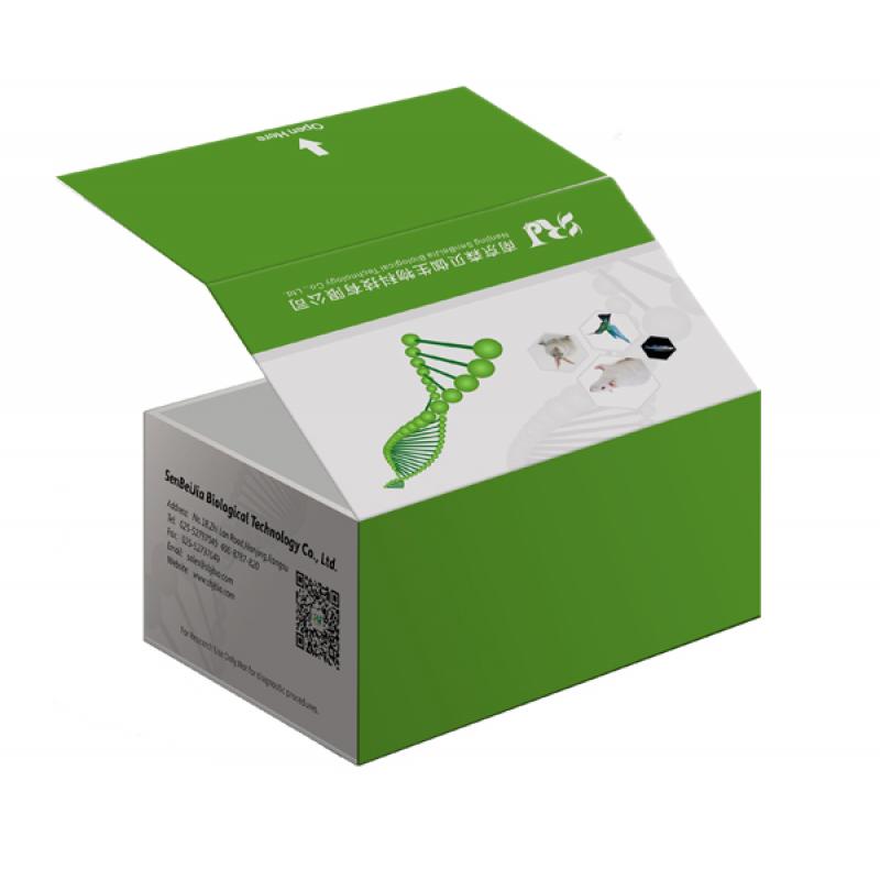 人DEAH框肽36(DHX36)ELISA Kit