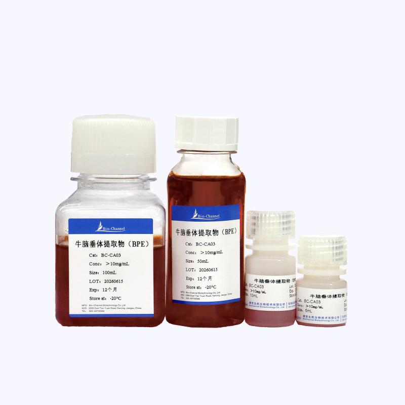 牛脑垂体提取物(BPE)