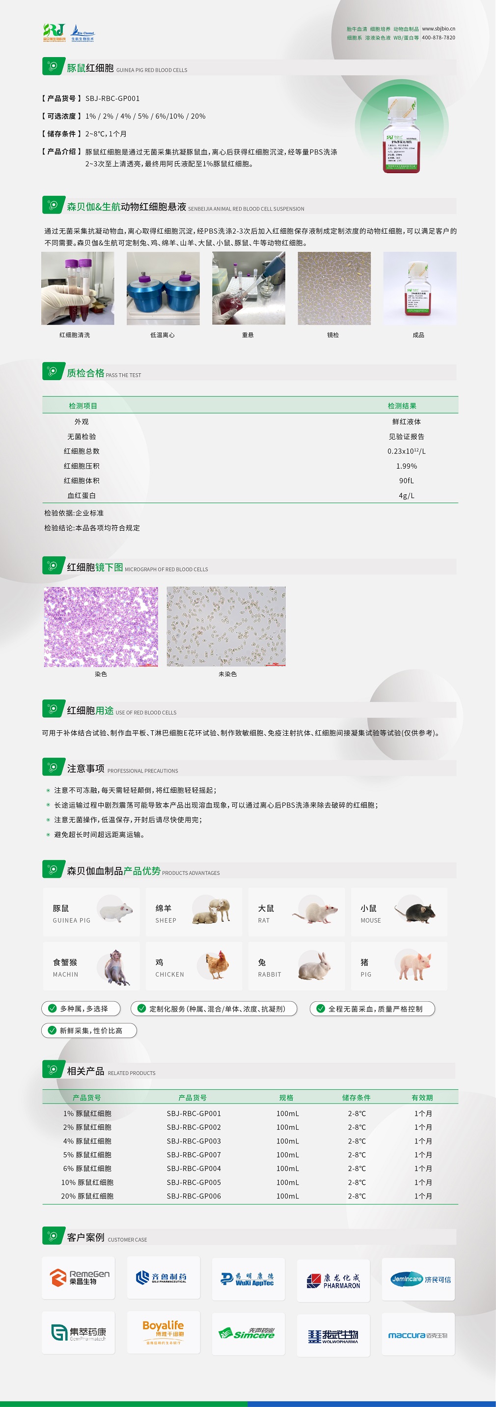 2%豚鼠红细胞1010.jpg